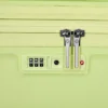 Venue x spinner mare Venue x spinner mare